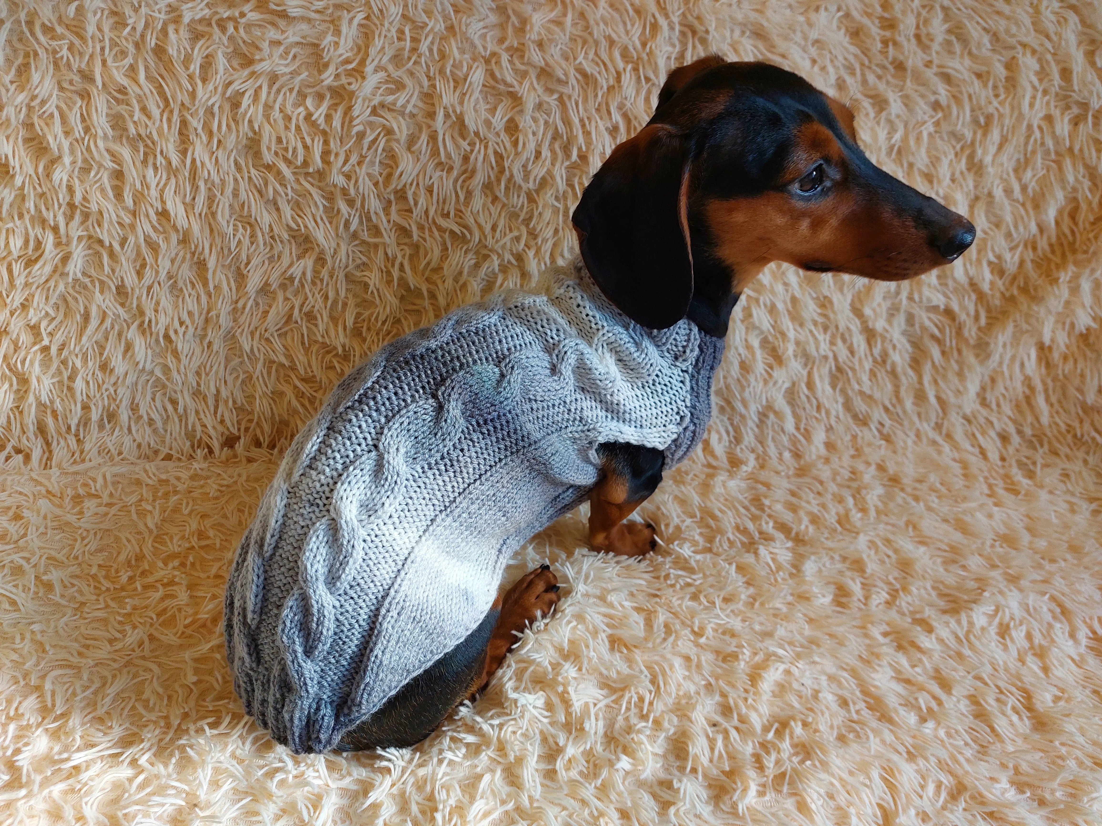 Festive pet jumper sweater,dachshund sweater,dog vest,puppy clothes