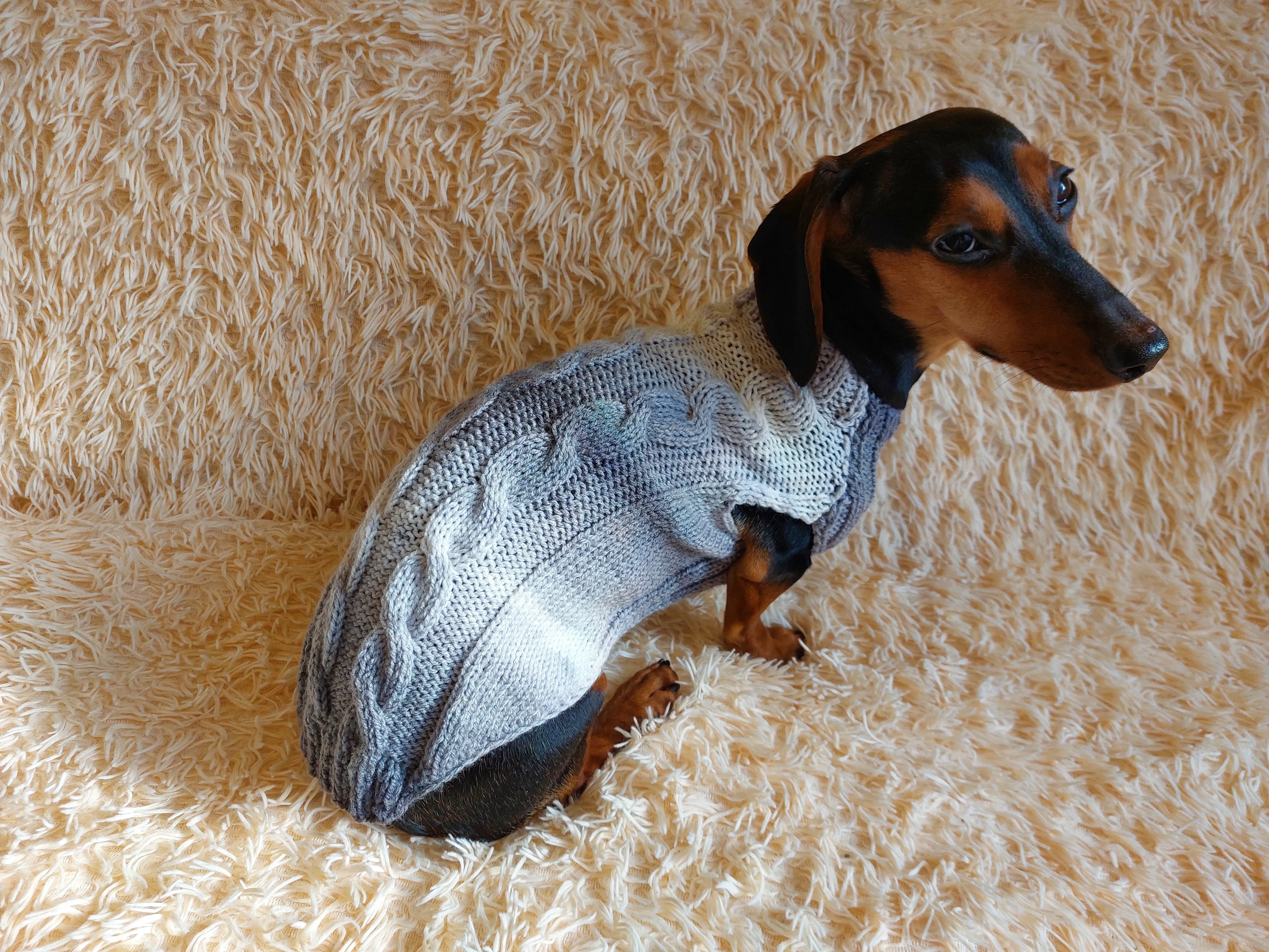 Festive pet jumper sweater,dachshund sweater,dog vest,puppy clothes