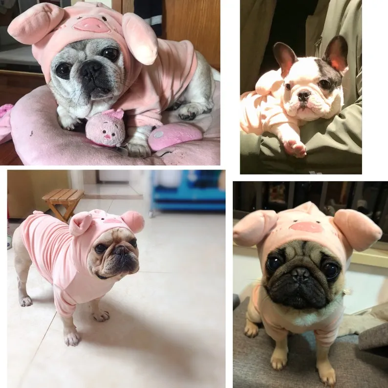 Pig Piggy Ikea KNORRIG Inspired Hoodie