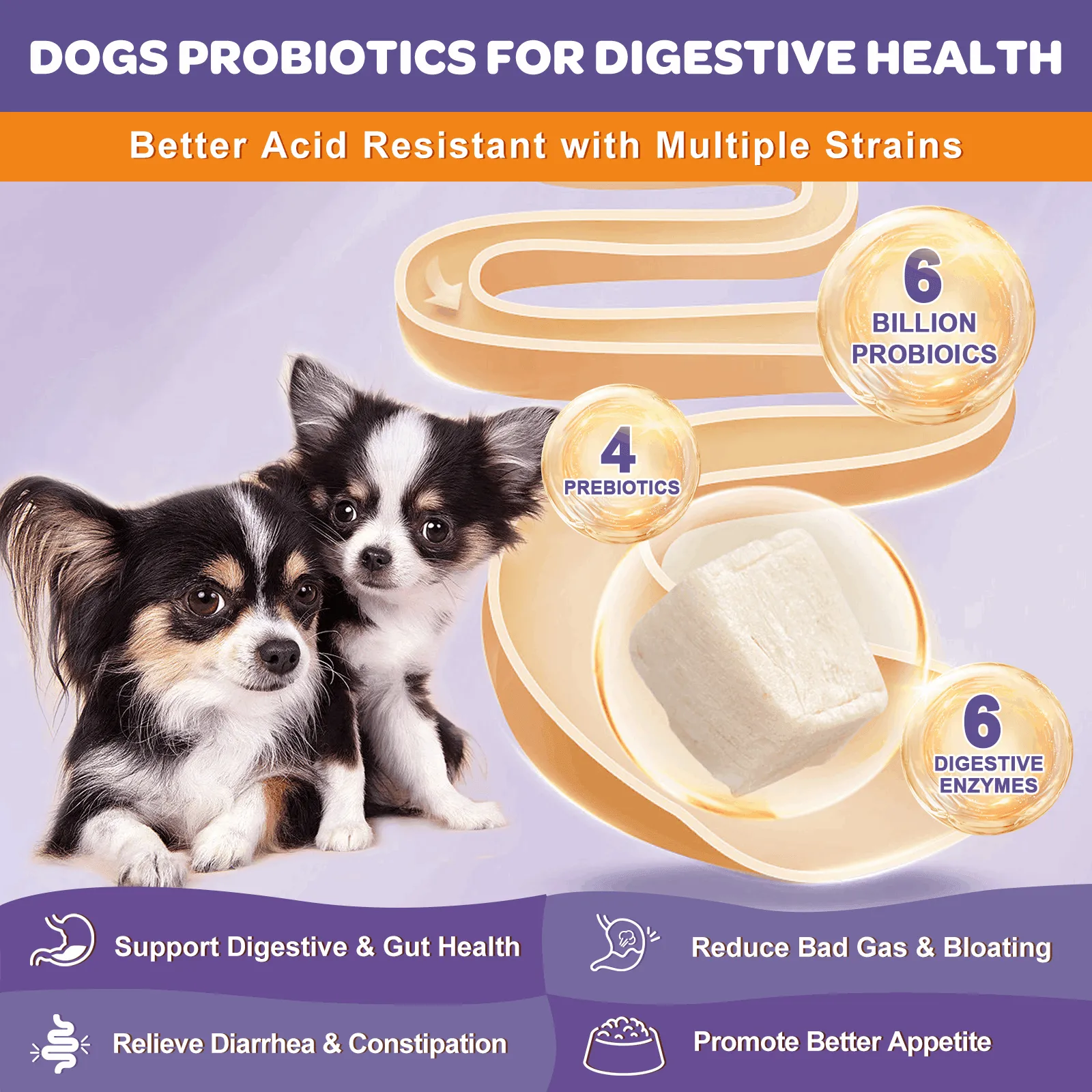 Probiotics   Prebiotics   Digestive Enzymes   Omega 3 for Dogs & Cats, Reduce Diarrhea Flatulence