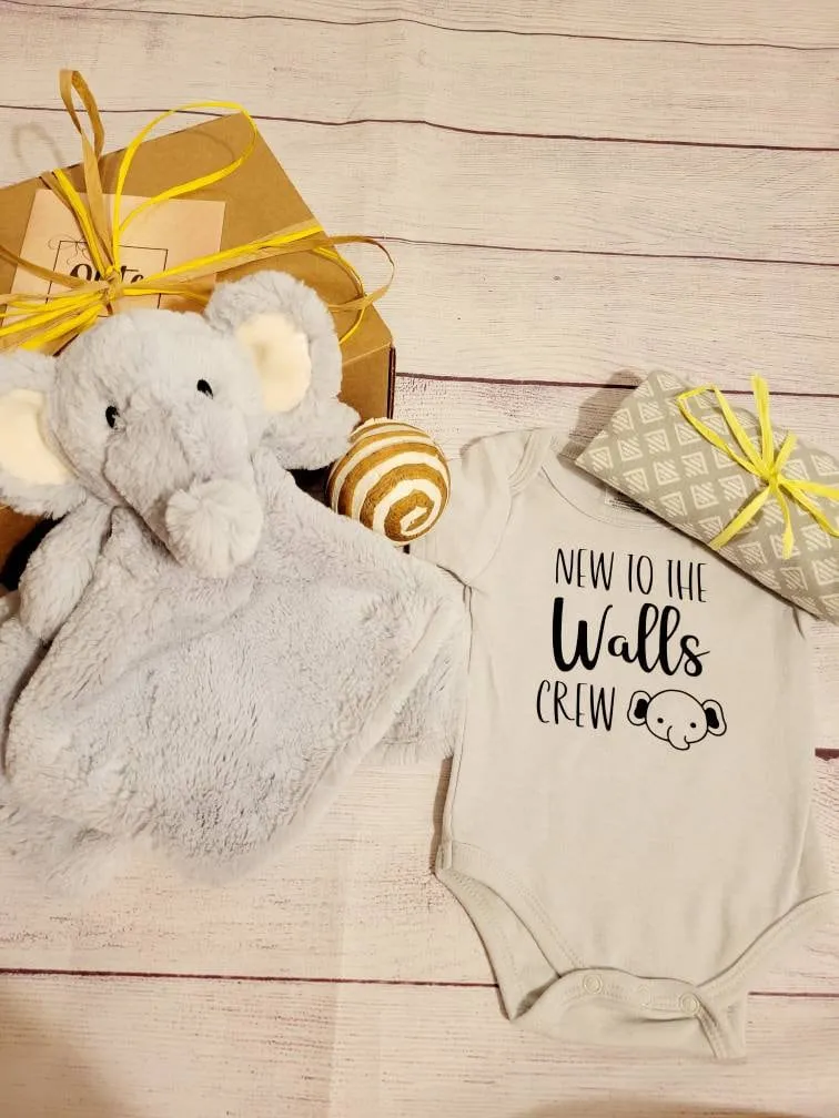 Qute unisex / gender neutral baby Elephant gift box